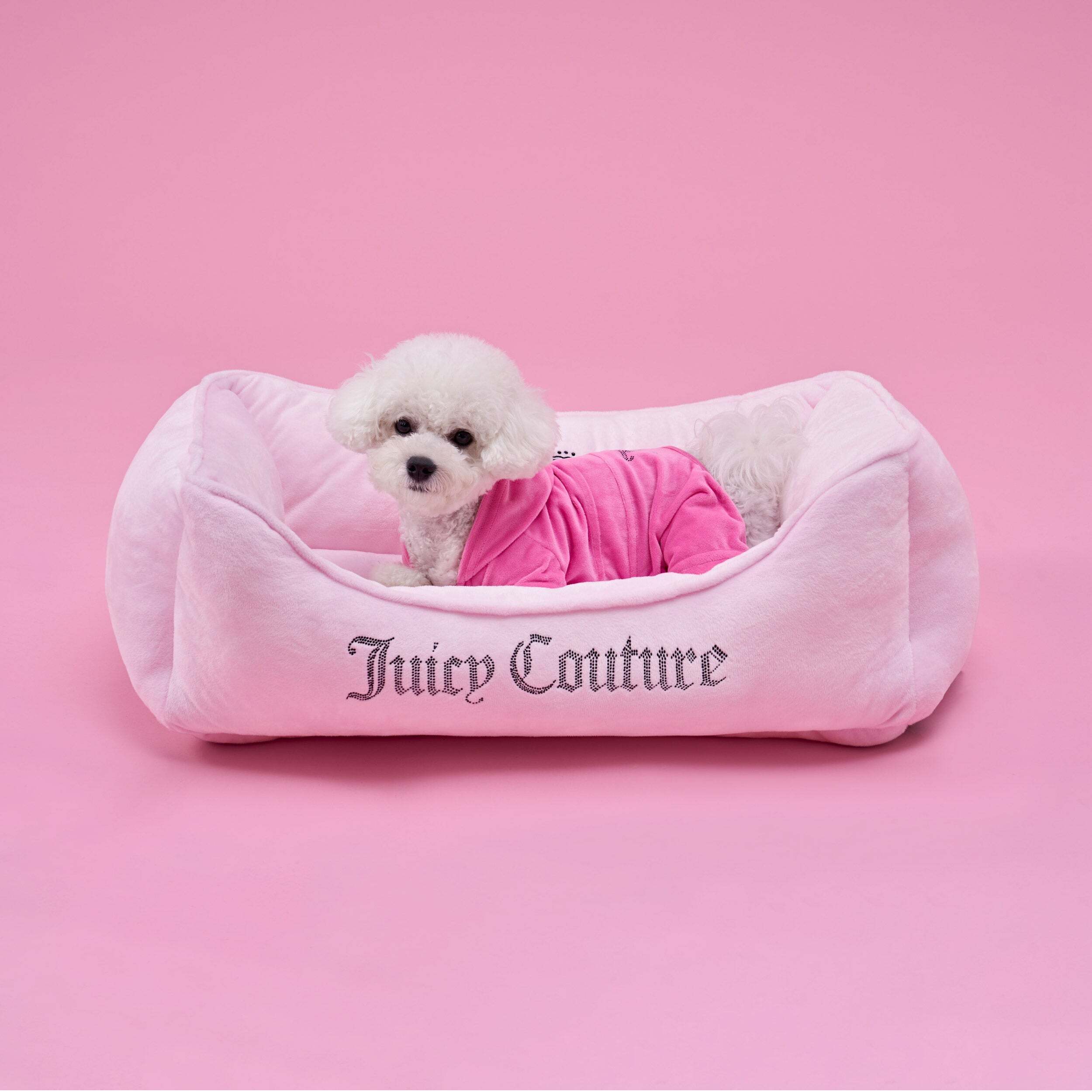 Crown Bling Black Pet Bed